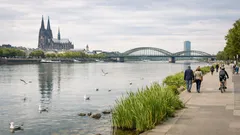 Wie der Rhein vom Abwasserkanal zum Vorzeige-Fluss wurde