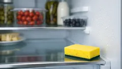 Schwamm im Kühlschrank: so reduzierst du Kondenswasser und muffige Gerüche