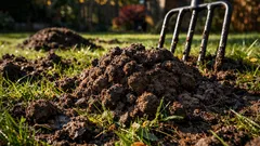 Maulwurf im Rasen im Herbst: warum er kommt und was wirklich hilft