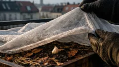 Hochbeet winterfest machen: So erntest du auch bei Frost noch Gemüse