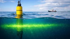 Phytoplankton im Ozean: warum 314 Millionen Tonnen Kohlenstoff unser Klima mitsteuern