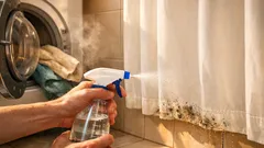 Duschvorhang reinigen: Schimmel mit Wasserstoffperoxid und Waschmaschine ganz einfach entfernen