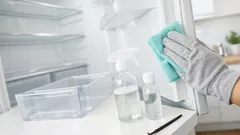 Kühlschrank reinigen und Gerüche entfernen: einfache DIY-Mischung ohne Natron und Essig