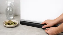 Ratten im Haus: Lorbeerblatt und Essig als Hausmittel – und was wirklich dauerhaft hilft