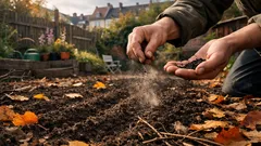 Rittersporn im Oktober säen: so klappt die Herbstaussaat in Deutschland